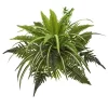 Nearly Natural 22-in Mixed Greens And Fern Artificial Bush Plant (Set Of 3) -Fashion Home Decor Store GUEST ee278a3c 13d6 42ab a0a5 1aad3afa7dc5