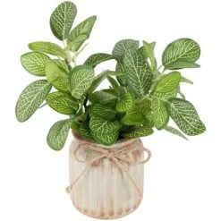 Northlight 8" Reticulated Artificial Spring Foliage In Ceramic Pot 7 Northlight 8" Reticulated Artificial Spring Foliage In Ceramic Pot -Fashion Home Decor Store GUEST efe92b4c afaa 476d a21f 61eb102527e9