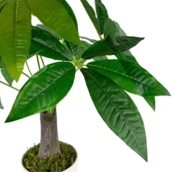 Northlight 18.5" Artificial Guiana Chestnut Plant In White Pot -Fashion Home Decor Store GUEST f79c3e27 17fe 45d2 a1ee 144e410ac2fb